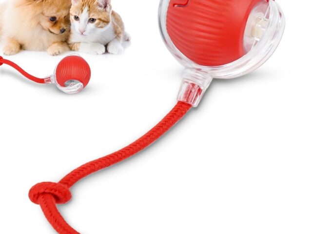 Bola Interativa Pet, Bolinha Pet, Brinquedo Interativo para Gatos, Brinquedos para Gatos, Brinquedo Gato, Bolinha Giratória Automática Rolamento Brinquedos Interativo...