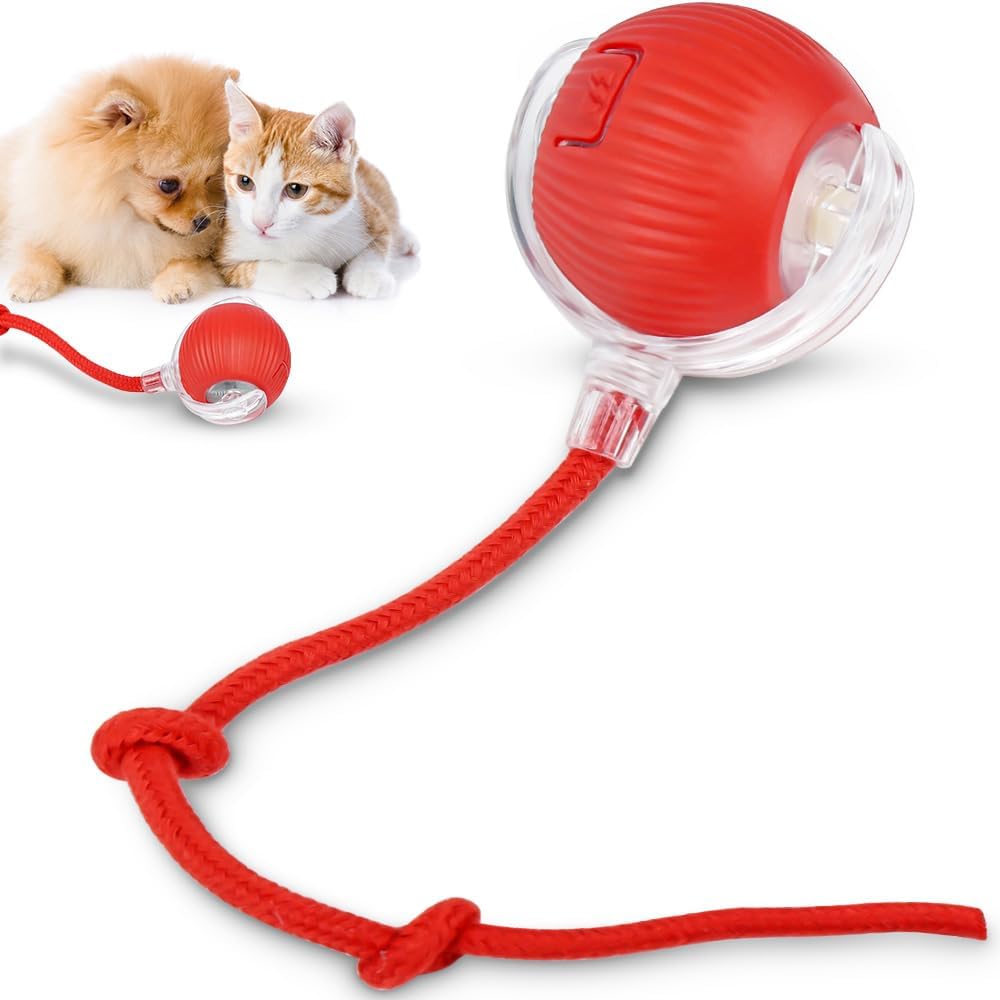 Bola Interativa Pet, Bolinha Pet, Brinquedo Interativo para Gatos, Brinquedos para Gatos, Brinquedo Gato, Bolinha Giratória Automática Rolamento Brinquedos Interativo...